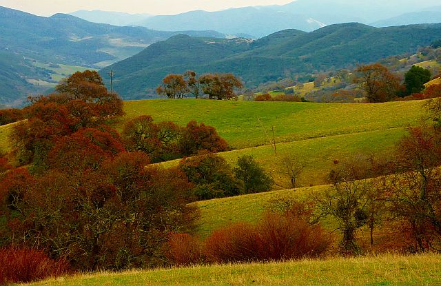 A Gorgeous Valley